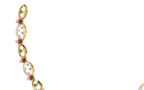 E4NKA20